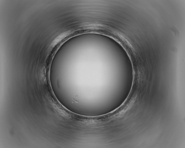 X0000113150970200909041229