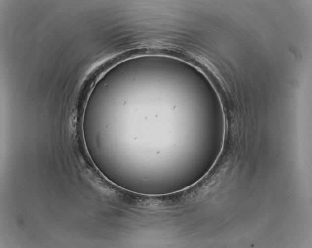 X0000113150971200909041229