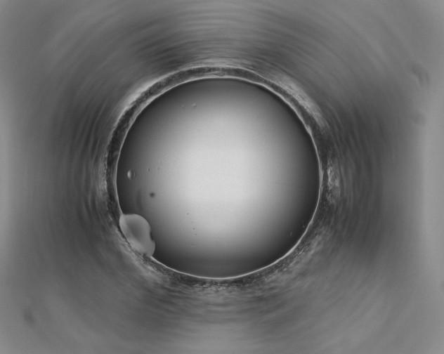 X0000113150972200909041229