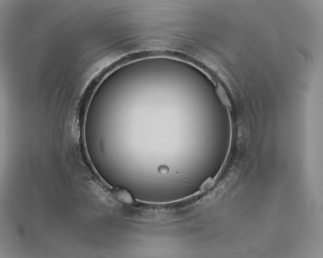 X0000113150973200909041229