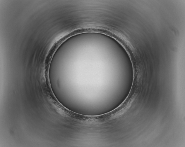 X0000113150974200909041229