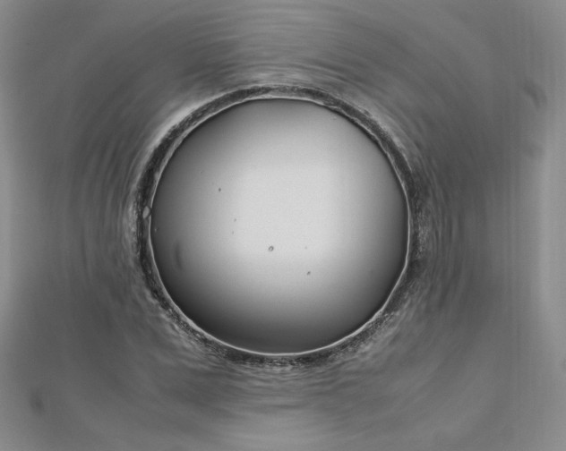 X0000113150975200909041229