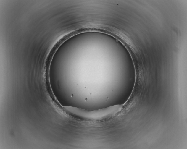 X0000113150976200909041229