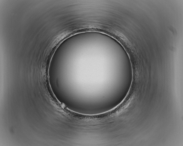 X0000113150977200909041229