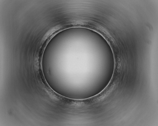 X0000113150978200909041229