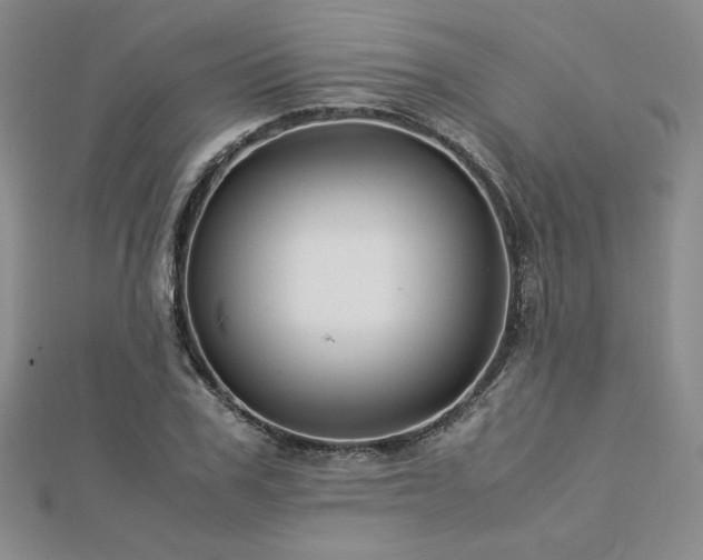 X0000113150979200909041229