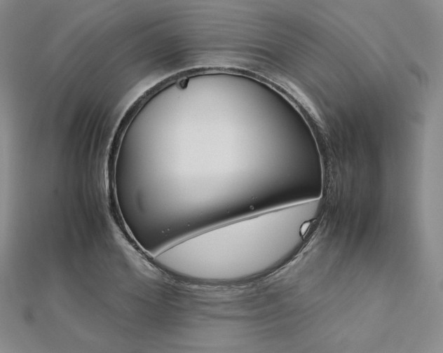 X0000113150980200909041229