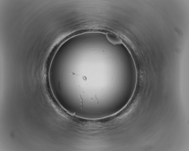 X0000113150981200909041229