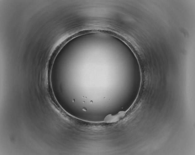 X0000113150982200909041229