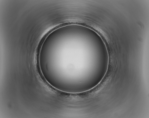 X0000113150983200909041229