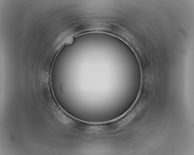 X0000113150985200909041229