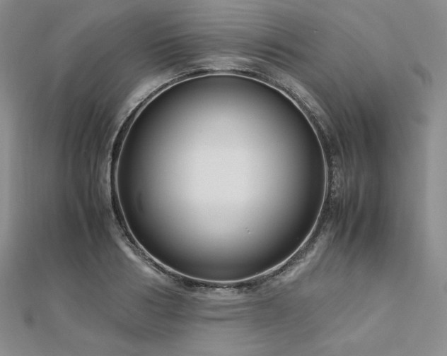 X0000113150986200909041229