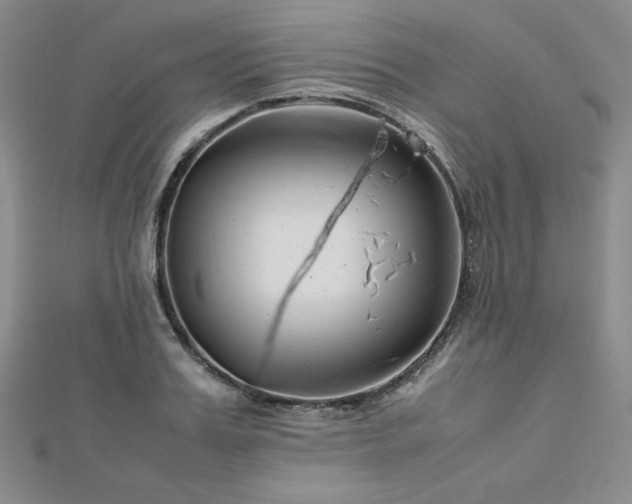 X0000113150987200909041229