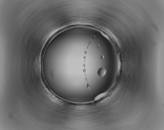 X0000113150988200909041229