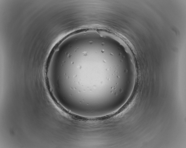 X0000113150989200909041229