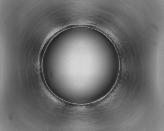 X0000113150990200909041229