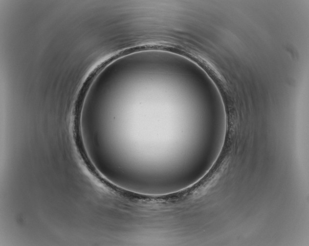 X0000113150991200909041229