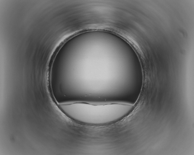 X0000113150992200909041229