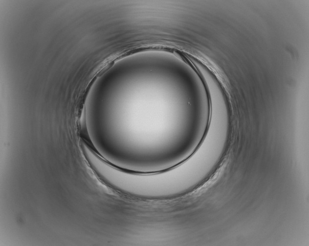 X0000113150993200909041229