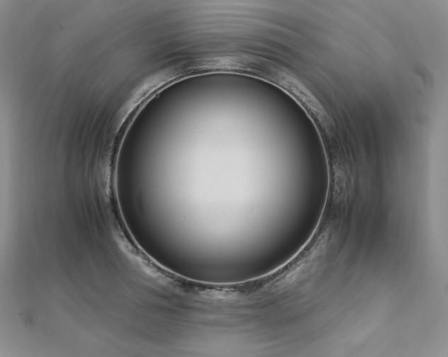 X0000113150994200909041229