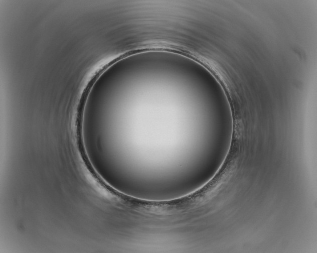 X0000113150995200909041229