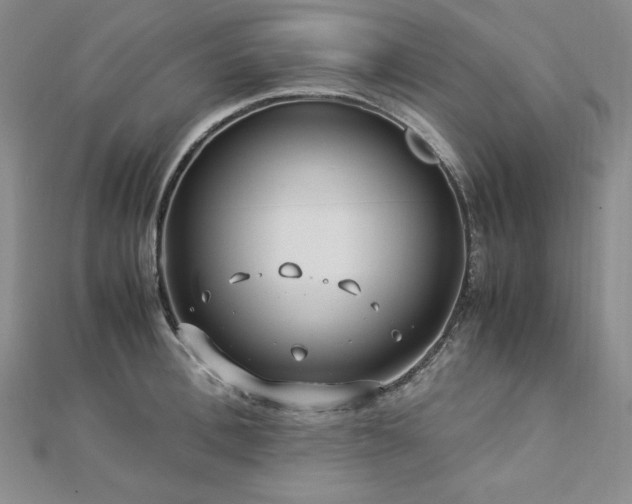 X0000113150996200909041229