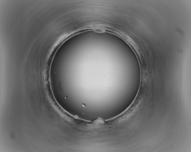 X0000113150997200909041229