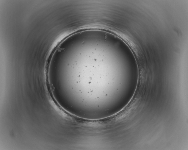 X0000113150998200909041229