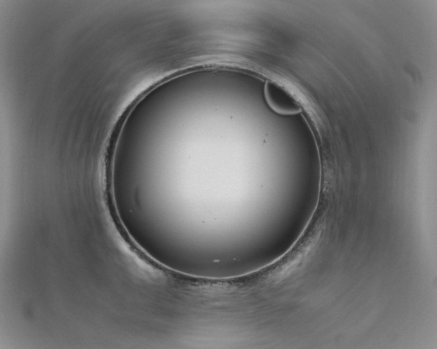 X0000113150999200909041229