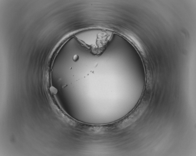 X0000113151000200909041229