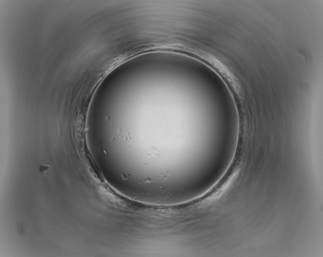 X0000113151001200909041229