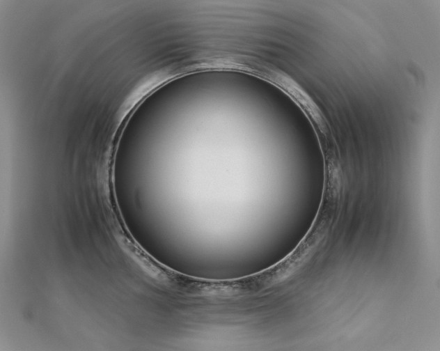 X0000113151002200909041229