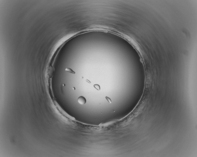 X0000113151003200909041229