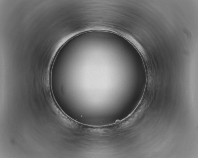 X0000113151004200909041229