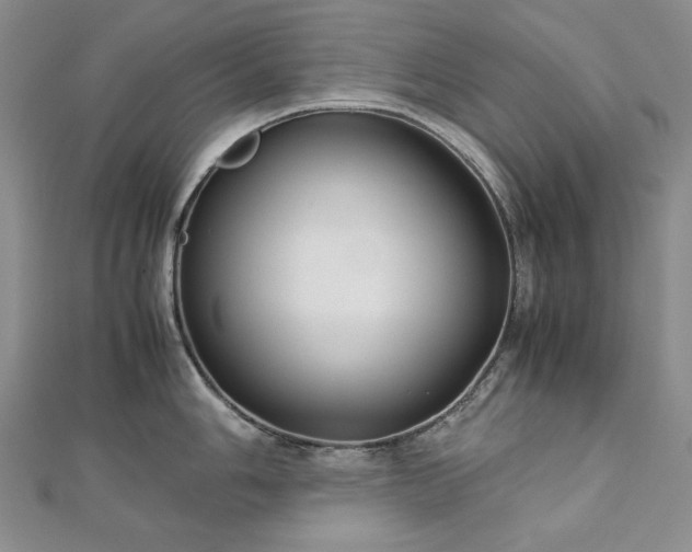 X0000113151006200909041229