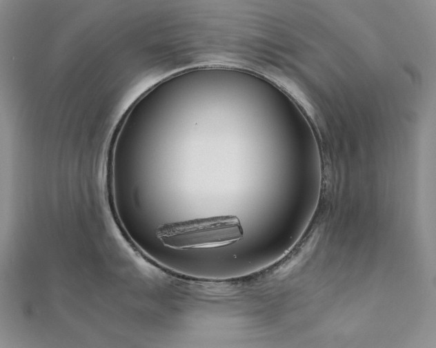 X0000113151007200909041229