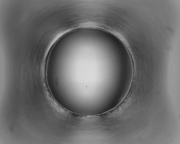 X0000113151008200909041229