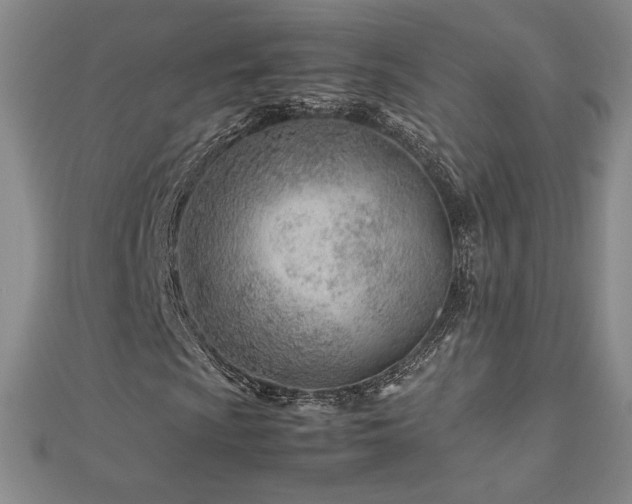 X0000113151009200909041228