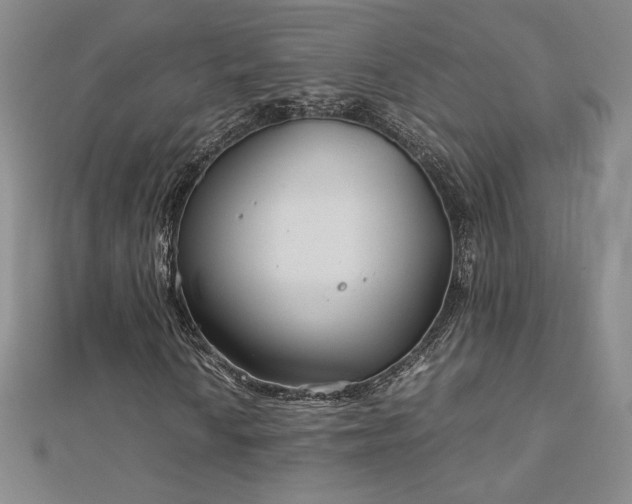 X0000113151010200909041228