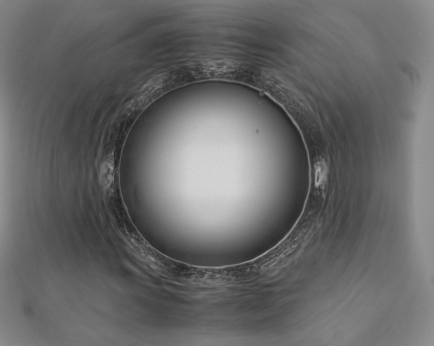 X0000113151011200909041228