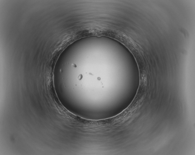 X0000113151012200909041228