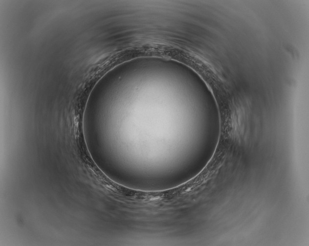 X0000113151013200909041228