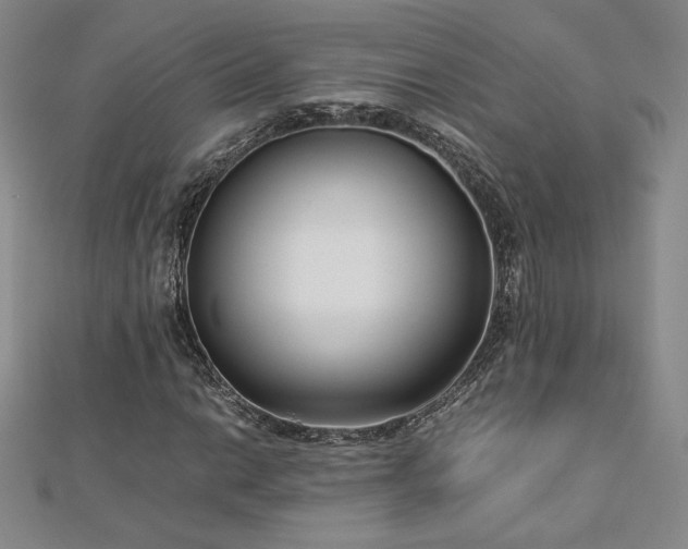 X0000113151014200909041228