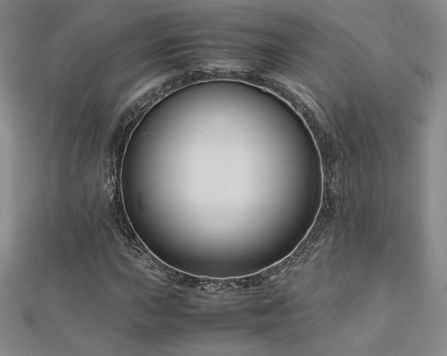 X0000113151015200909041228