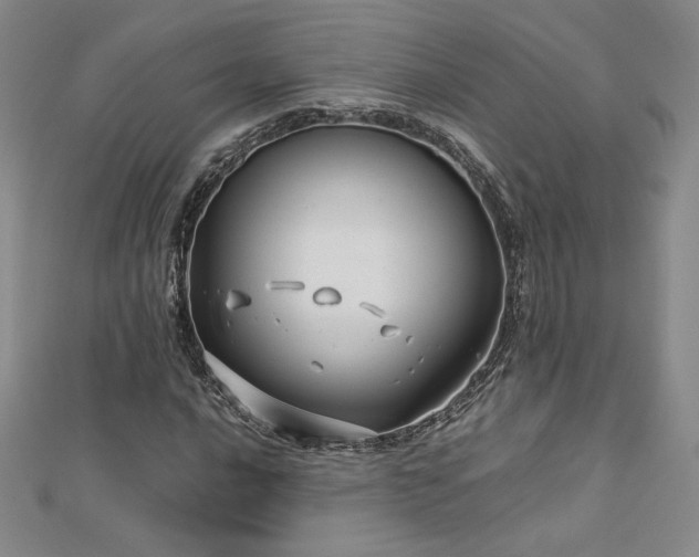 X0000113151016200909041228