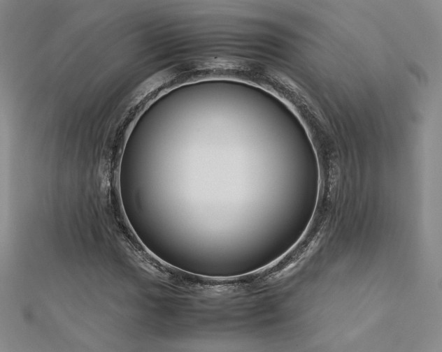 X0000113151017200909041228