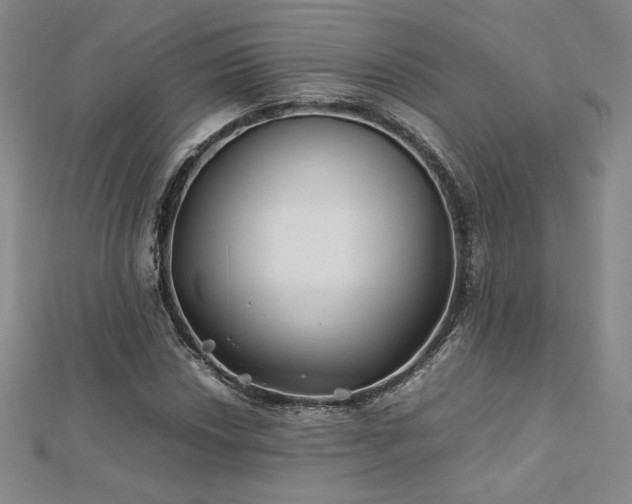 X0000113151018200909041228