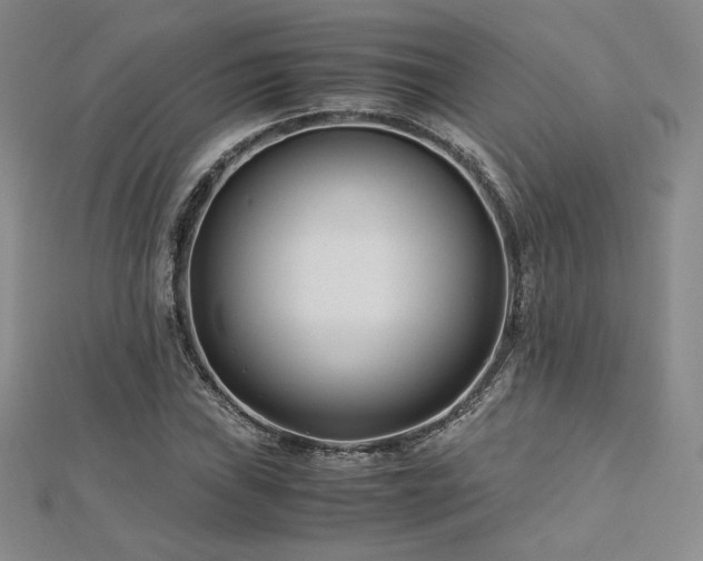 X0000113151019200909041228