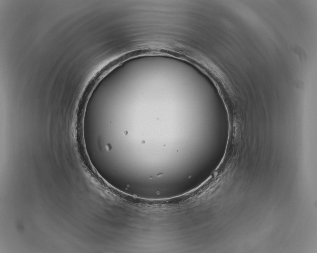 X0000113151020200909041228