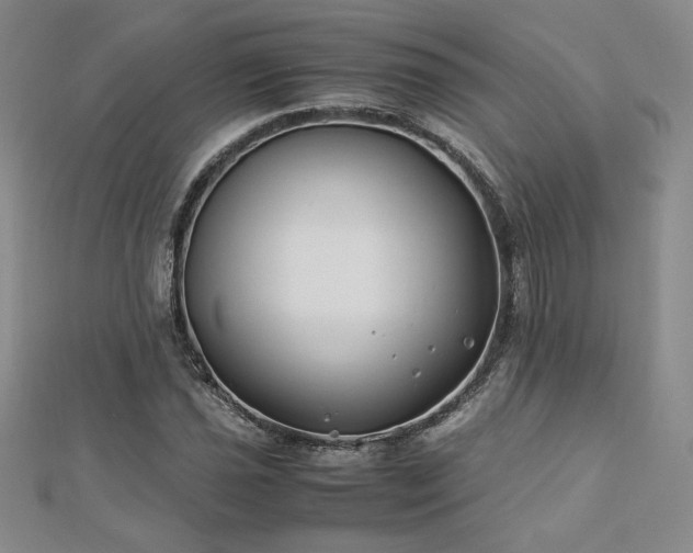 X0000113151021200909041228